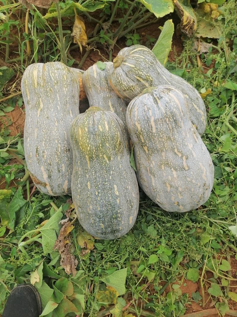 云南高山铁头，辣椒，各种蔬菜代办，质量保证，