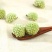 西藏野生绿萝花绿萝花茶品正绿箩绿罗花茶叶花草茶