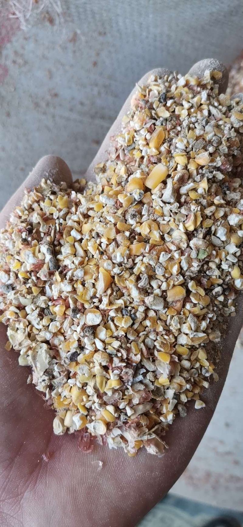 成年供应碎玉米，碎小麦下脚料适合各种鸡鸭牛羊养殖。