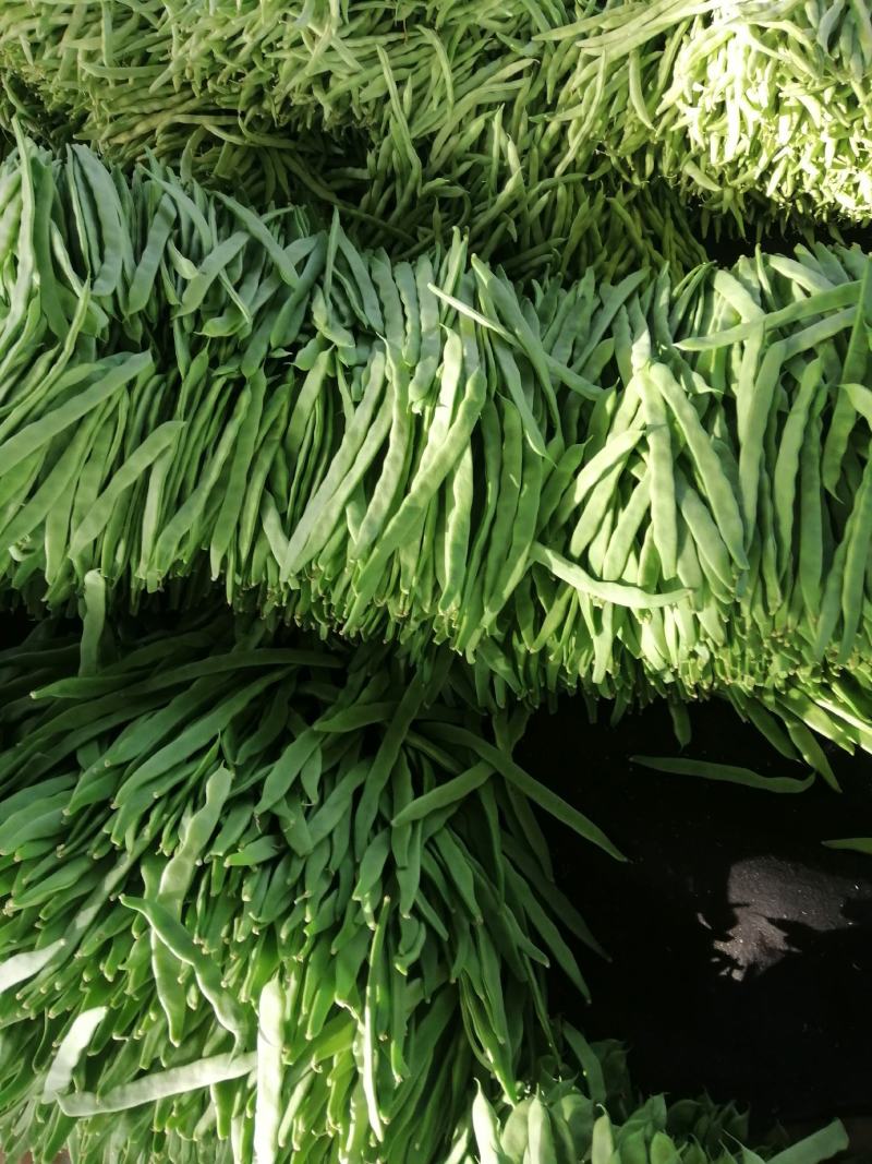 唐山各种蔬菜大量上市了，今天大落价