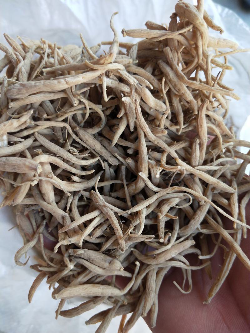 新品福鼎管阳柘荣高山太子参厂地加工直接大量批发供应