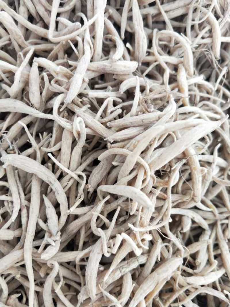 新品福鼎管阳柘荣高山太子参厂地加工直接大量批发供应