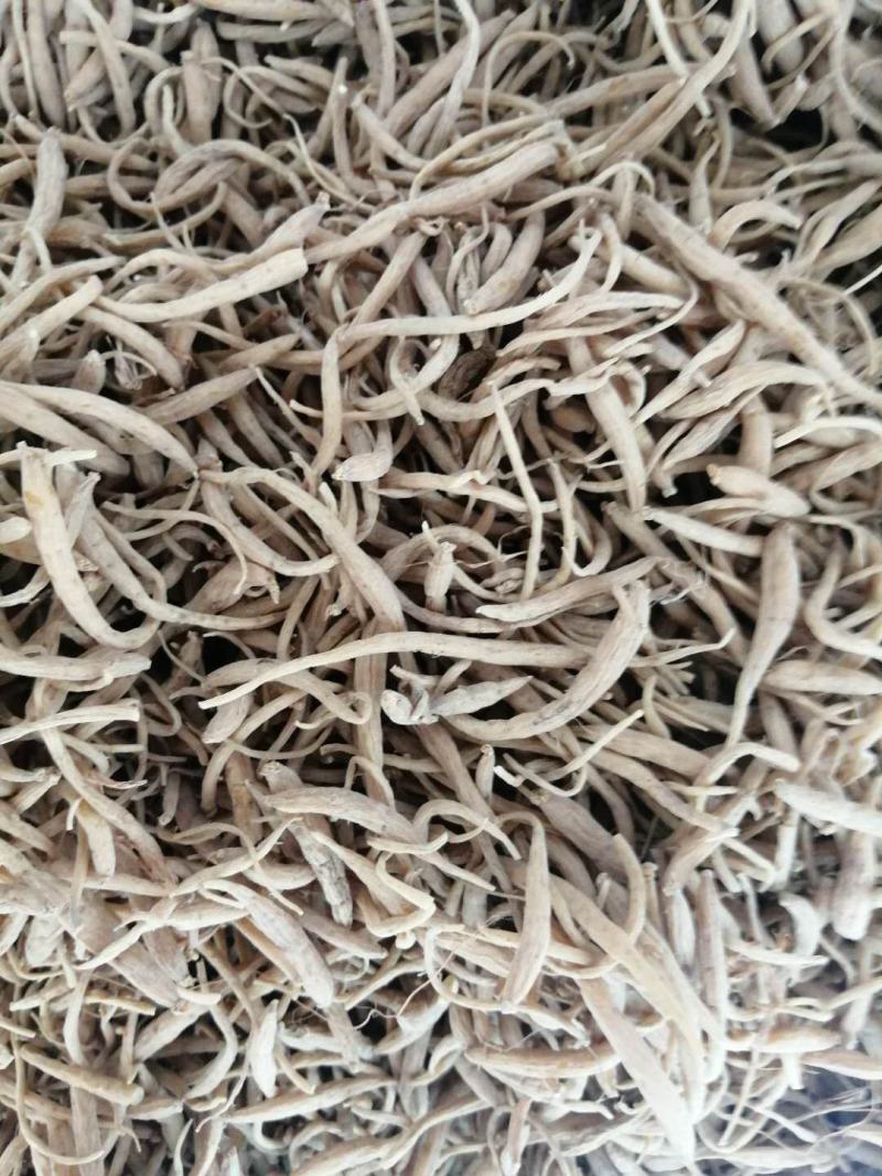 新品福鼎管阳柘荣高山太子参厂地加工直接大量批发供应
