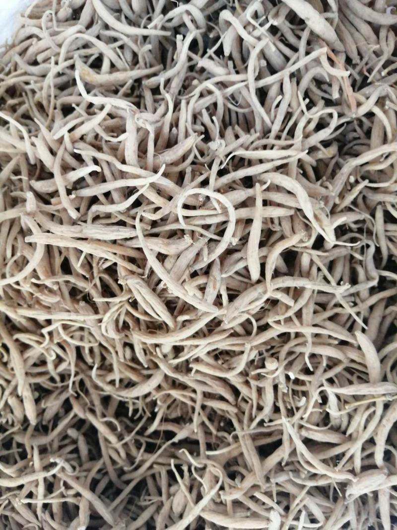 新品福鼎管阳柘荣高山太子参厂地加工直接大量批发供应