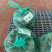 阳澄湖大闸蟹明日开湖，支持一件代发，需要的老板来抢！