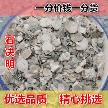 石决明一手货源产地直销