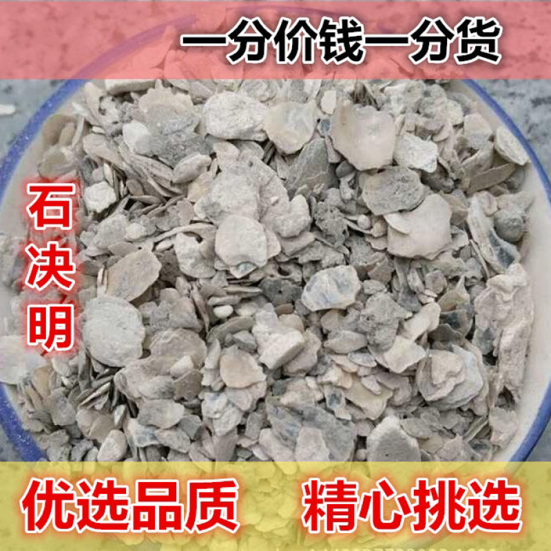石决明一手货源产地直销