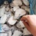 无冰衣鳕鱼片深海鳕鱼块鳕鱼排冷冻鳕鱼块辅食鱼肉