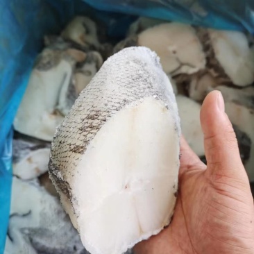 无冰衣鳕鱼片深海鳕鱼块鳕鱼排冷冻鳕鱼块辅食鱼肉