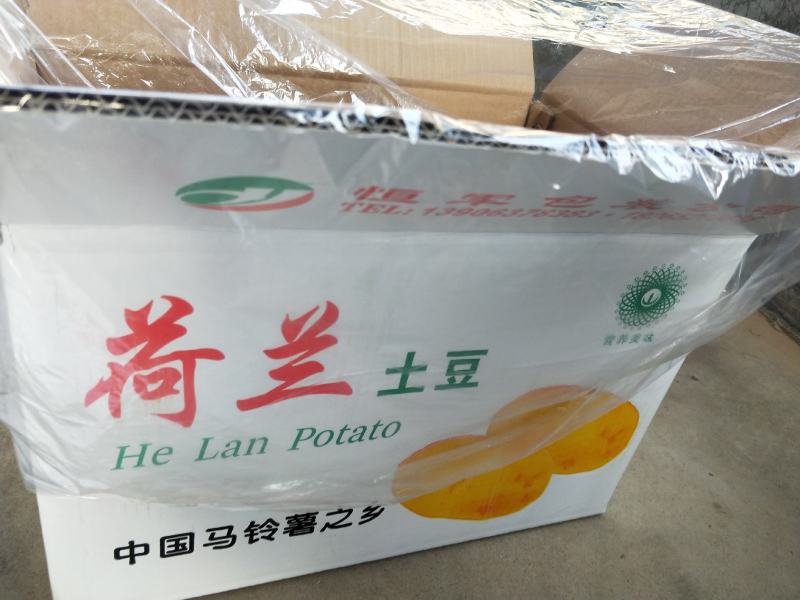厂家直销.塑料包装保鲜袋，高低压平口袋。