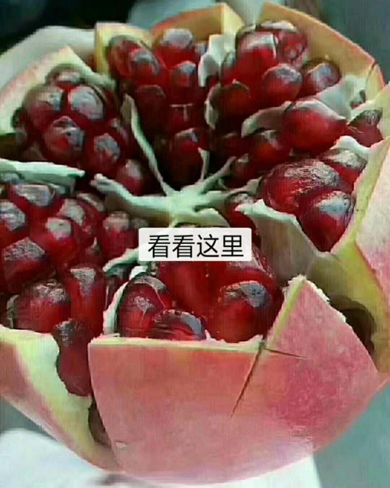 一件代发带箱10斤包邮到家坏果包补