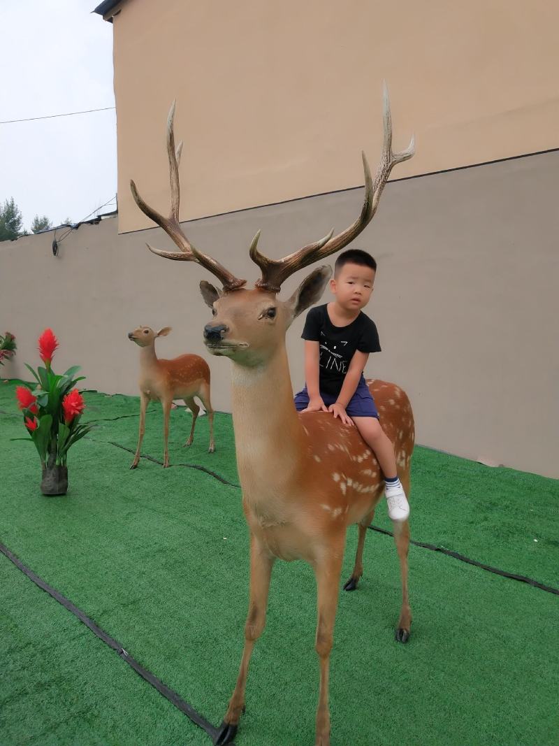 鹿头模型工艺标本身份象征办公室必备