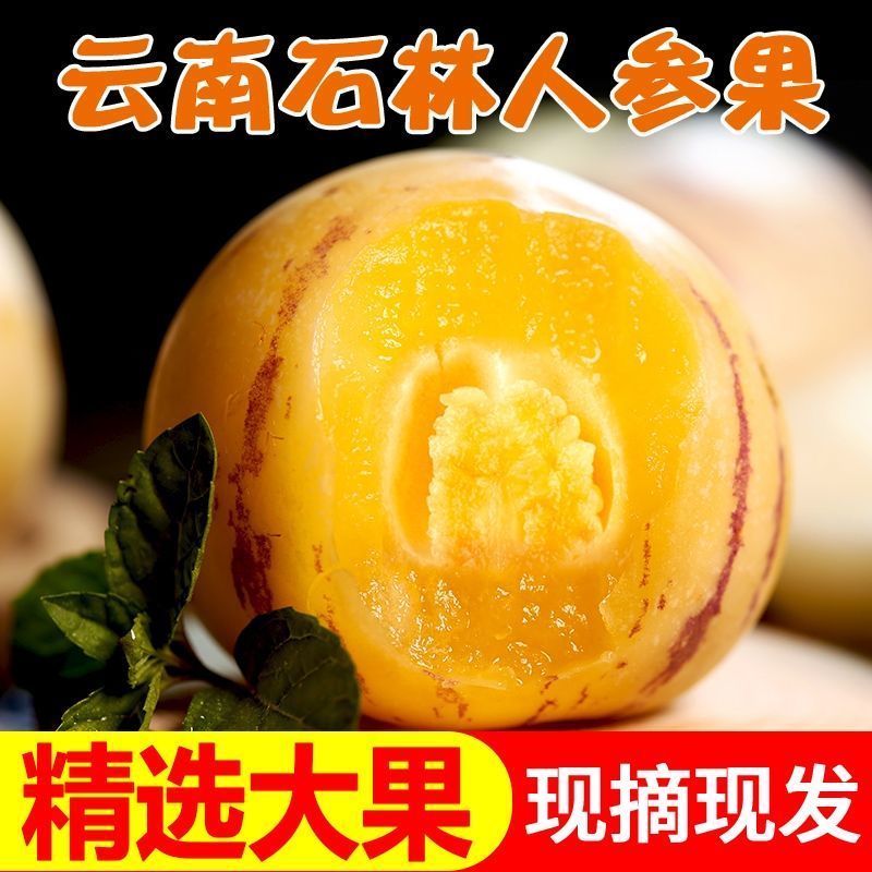 云南石林人参果圆果3/5/10斤当季新鲜水果非长人生果