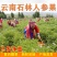云南石林人参果圆果3/5/10斤当季新鲜水果非长人生果