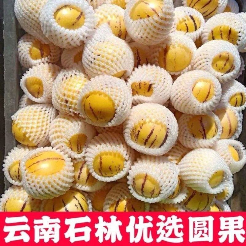 云南石林人参果圆果3/5/10斤当季新鲜水果非长人生果