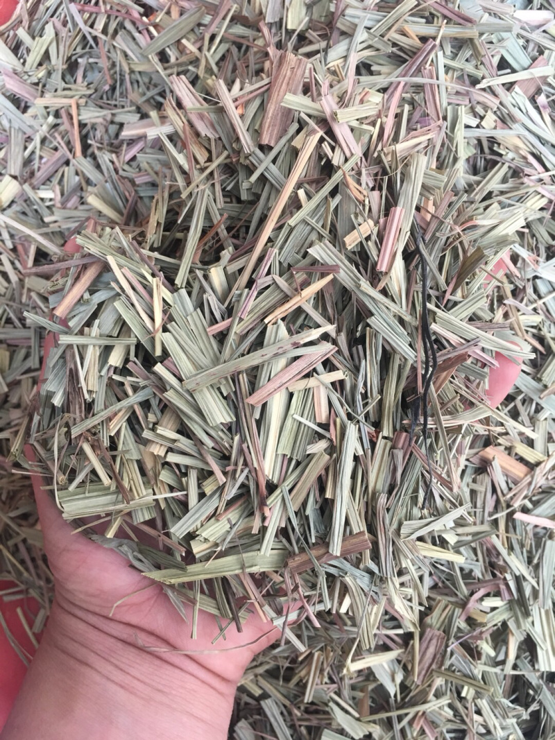 香茅草【包邮】三斤起发货各种规格都有货