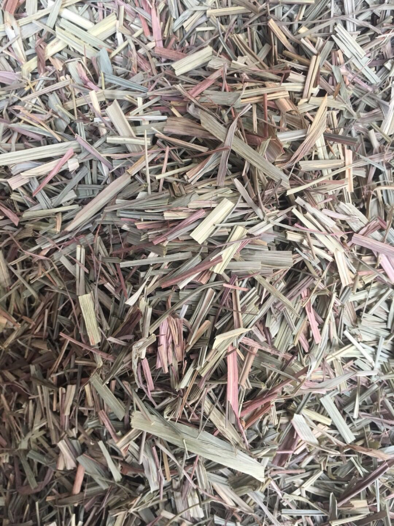 香茅草【包邮】三斤起发货可批量可零售量大从优