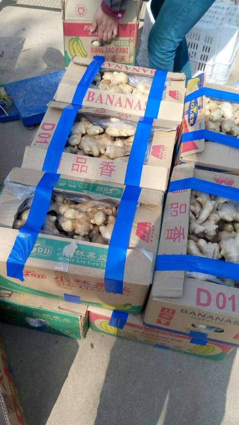 青州姜大丰收大黄泥姜1元大量上市，！价格稳定优惠多多！
