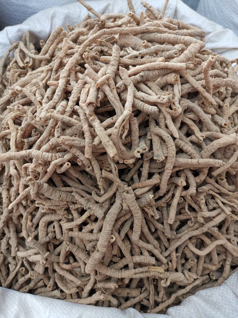 远志山西无硫远志高抽心率各种规格可批发零售