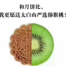 眉县徐香猕猴桃在这丰收的季节欢迎全国各地朋友采购、品尝…