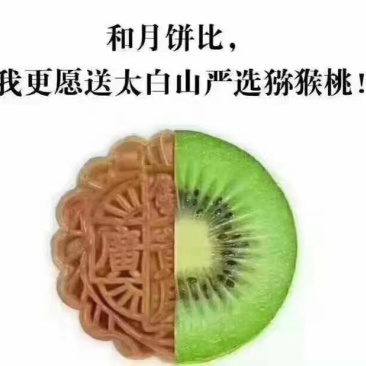 眉县徐香猕猴桃在这丰收的季节欢迎全国各地朋友采购、品尝…