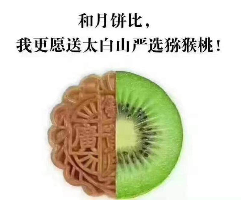 眉县徐香猕猴桃在这丰收的季节欢迎全国各地朋友采购、品尝…
