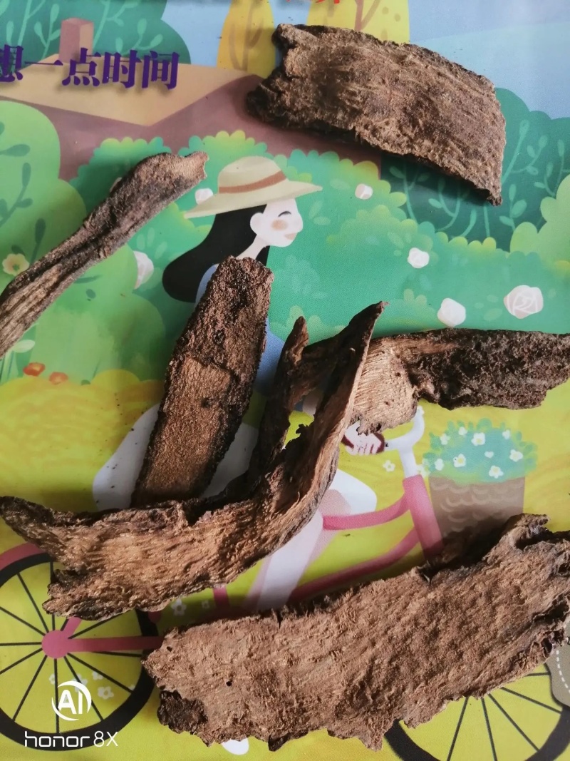 正宗金锁阳个子片子各种规格产地直发一手货源