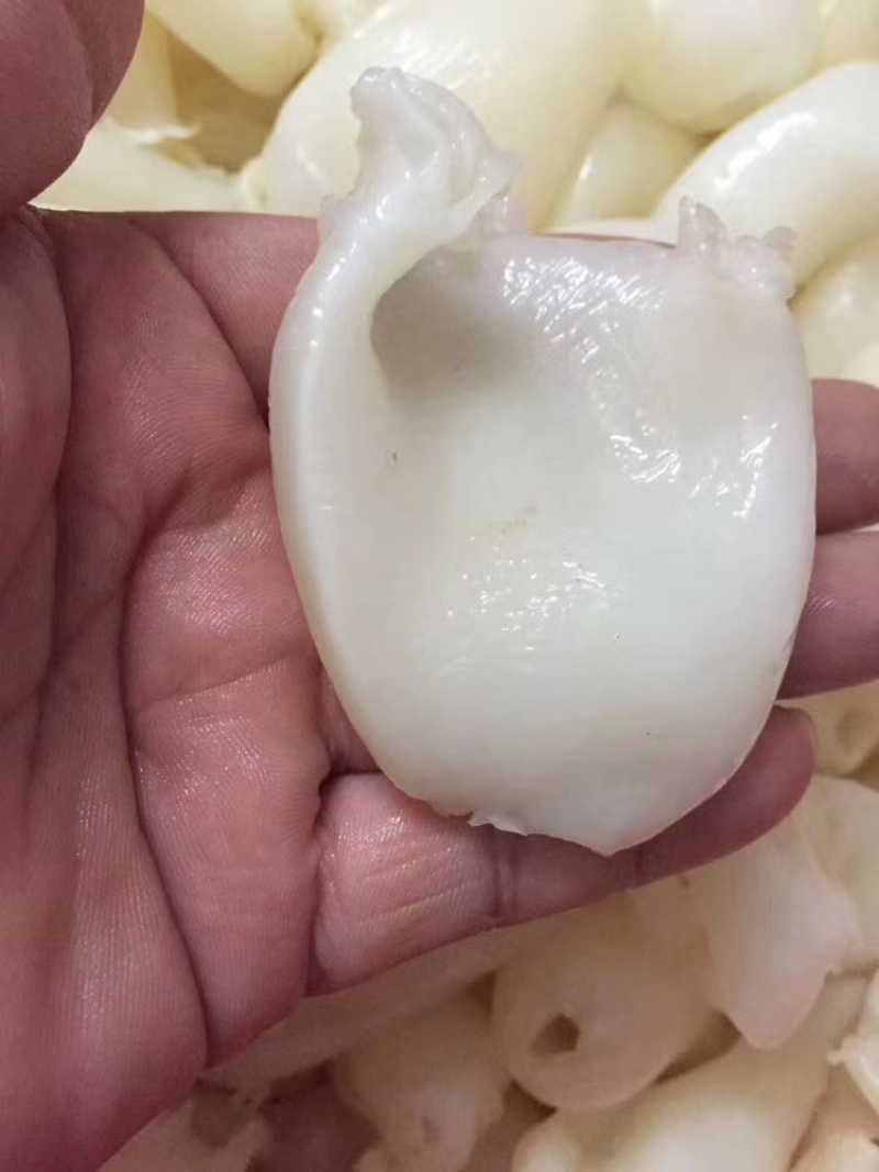 鸡蛋胶花胶干货黄花胶鱼肚小米鱼胶滋补胶原蛋白炖汤鱼胶