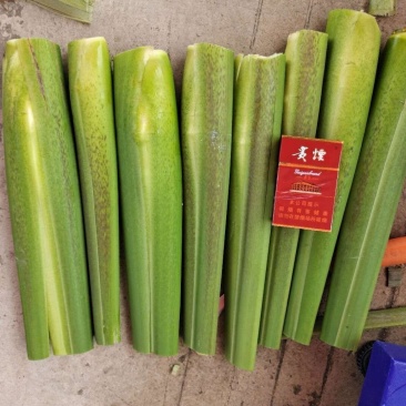 贵州黔西南州绿色种植，茭白笋