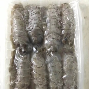 渤海湾手剥原浆皮皮虾肉爬虾肉