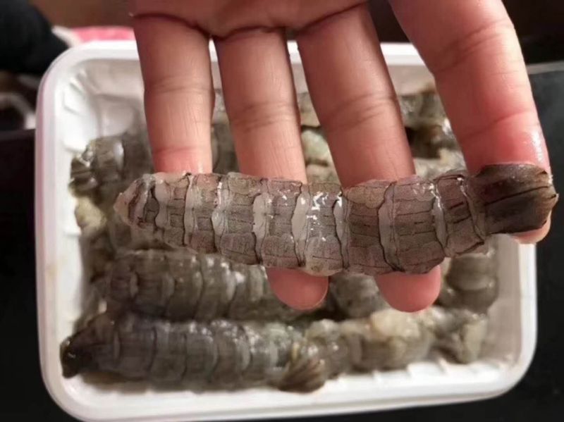 渤海湾手剥原浆皮皮虾肉爬虾肉
