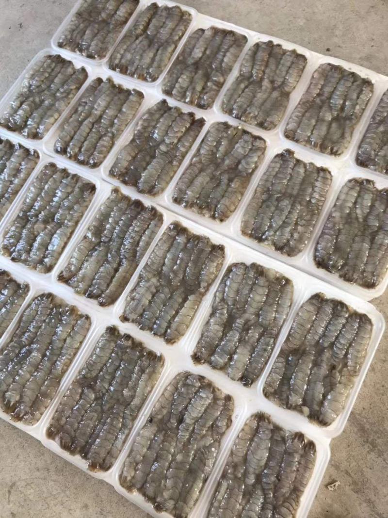 渤海湾手剥原浆皮皮虾肉爬虾肉