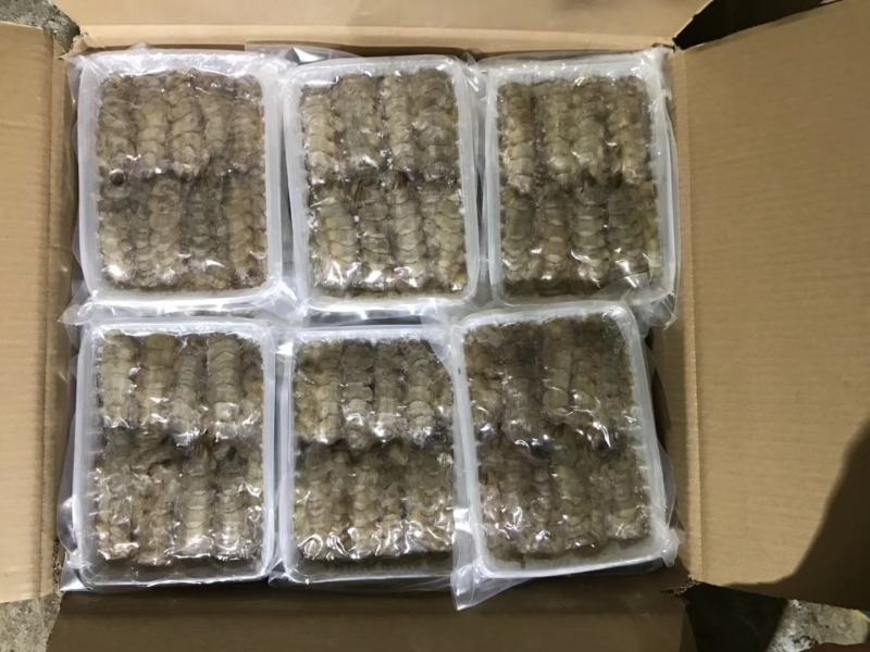 渤海湾手剥原浆皮皮虾肉爬虾肉