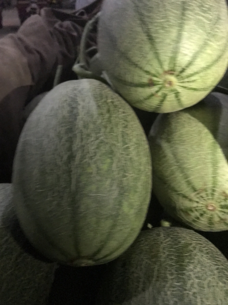 西州蜜25小蜜，脆甜！微信见头像