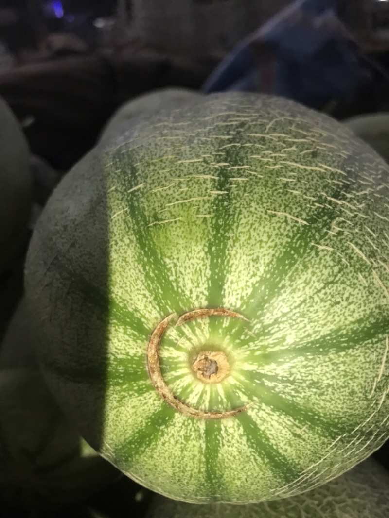 西州蜜25小蜜，脆甜！微信见头像