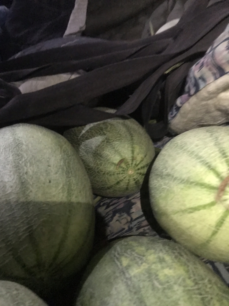 西州蜜25小蜜，脆甜！微信见头像