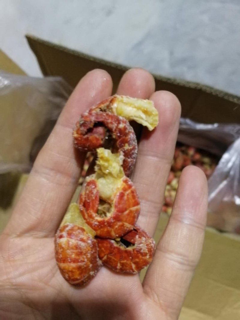 一级二级龙虾尾新鲜不泡药颗粒饱满个个带黄