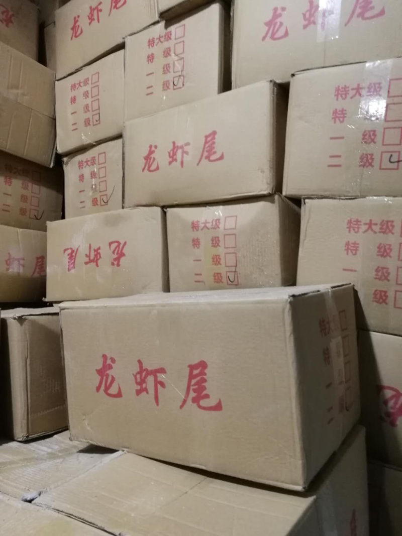 一级二级龙虾尾新鲜不泡药颗粒饱满个个带黄