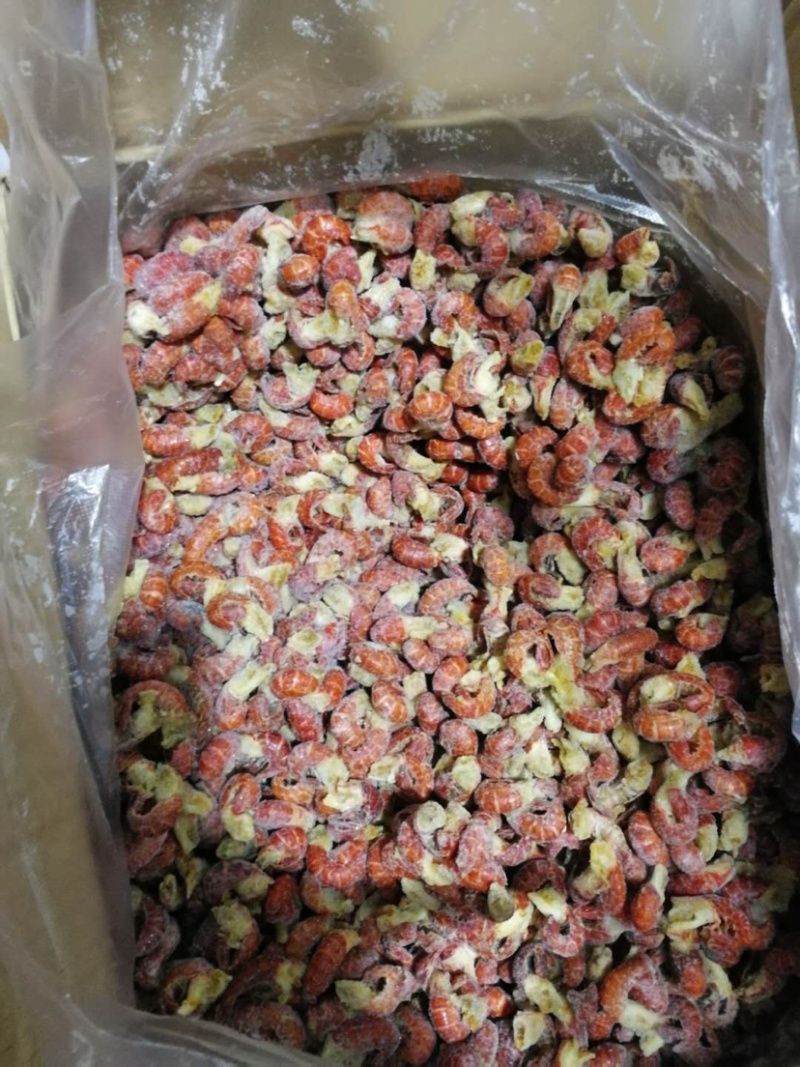 一级二级龙虾尾新鲜不泡药颗粒饱满个个带黄