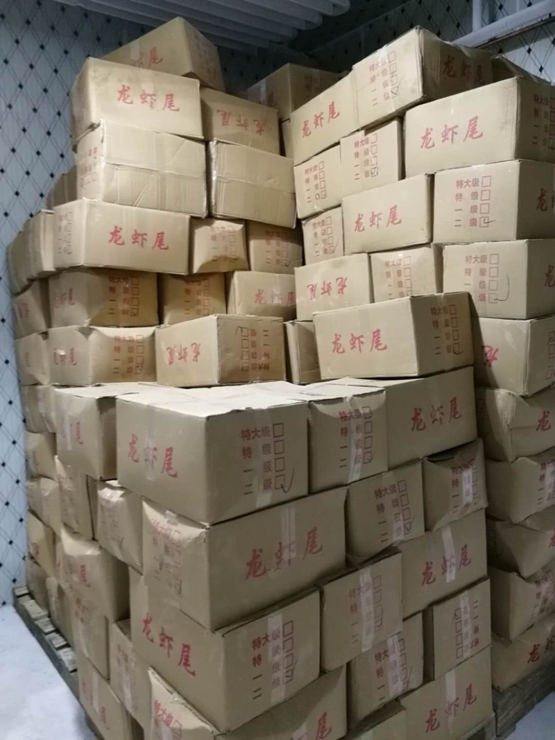 一级二级龙虾尾新鲜不泡药颗粒饱满个个带黄