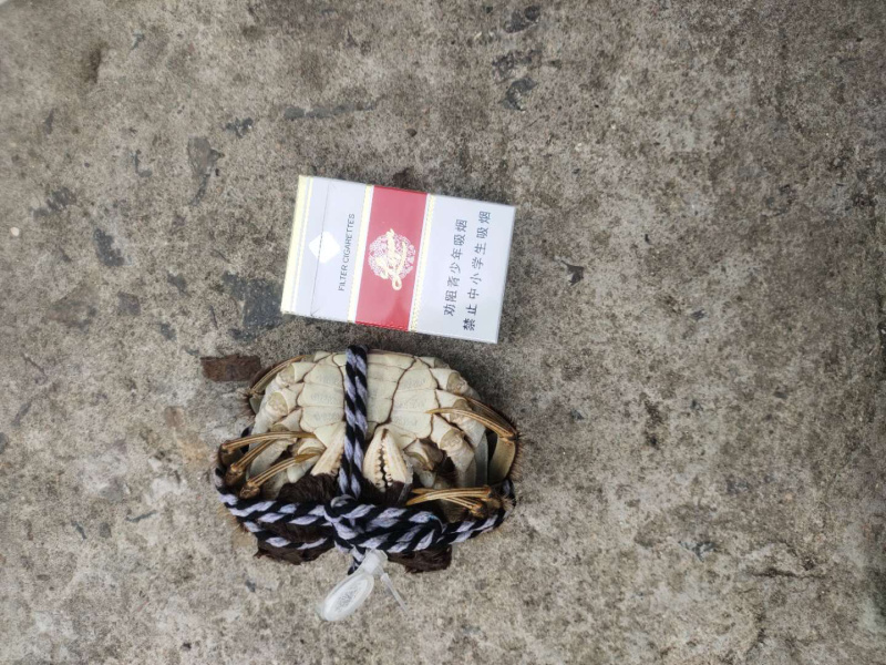 阳澄湖大闸蟹中秋礼品，欢迎各位老板批发购买。