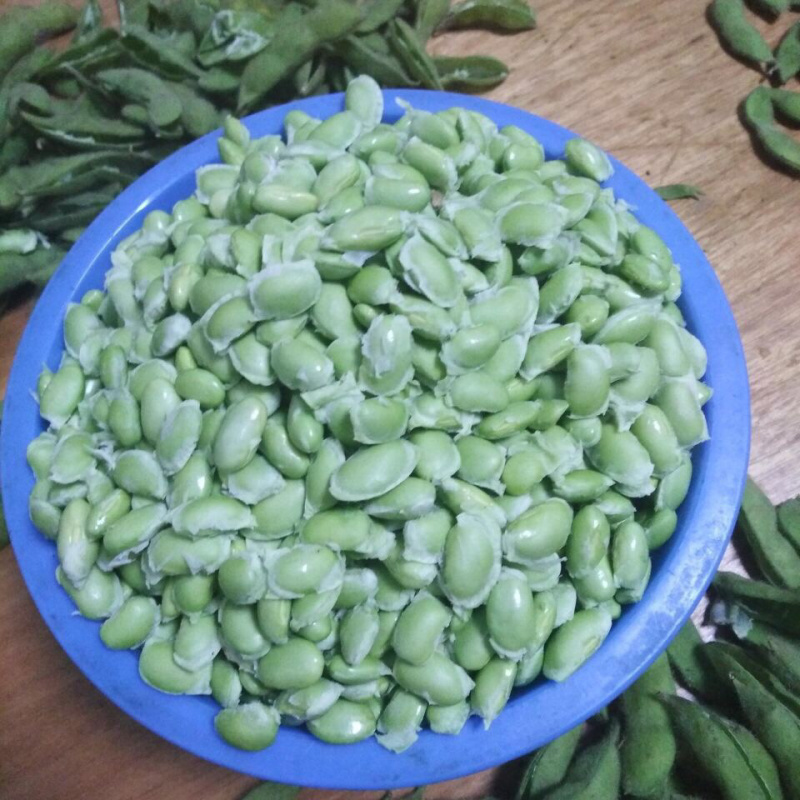 毛豆鲜毛豆，现摘现发，优质好货