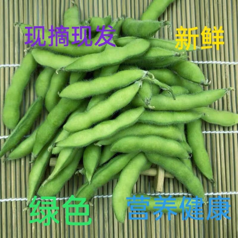 毛豆鲜毛豆，现摘现发，优质好货