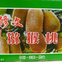 贵州省修文县贵长徐香猕猴桃