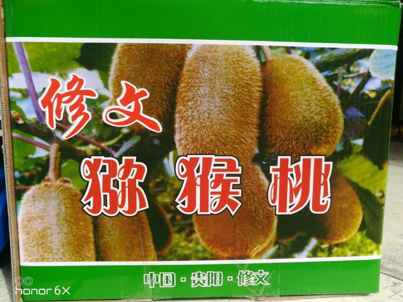贵州省修文县贵长徐香猕猴桃