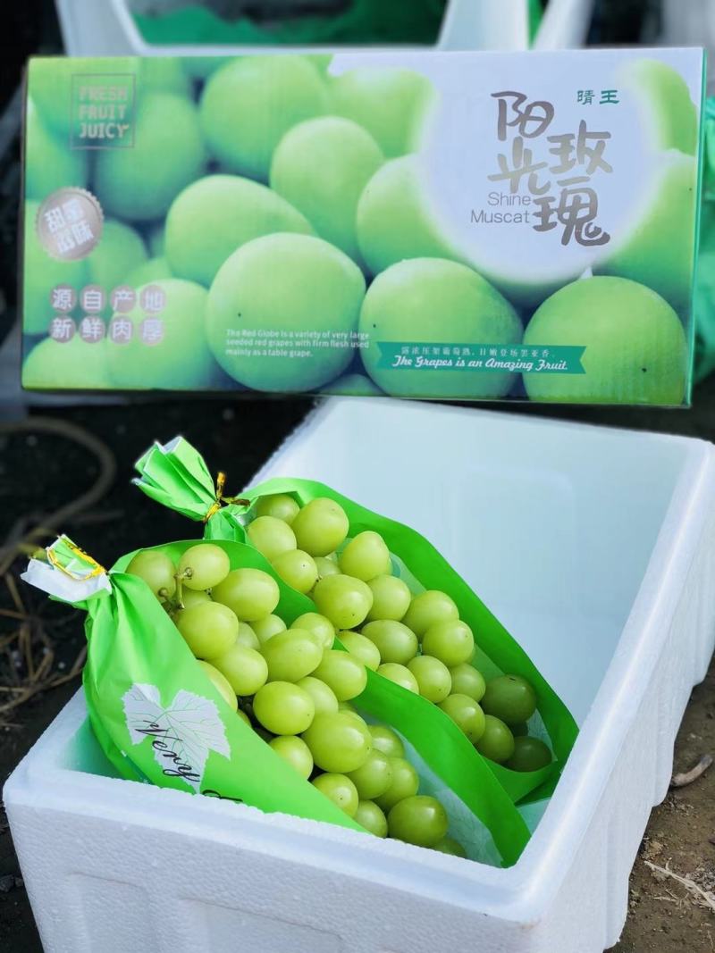 阳光玫瑰葡萄，大量上市，口感香甜，欢迎采购