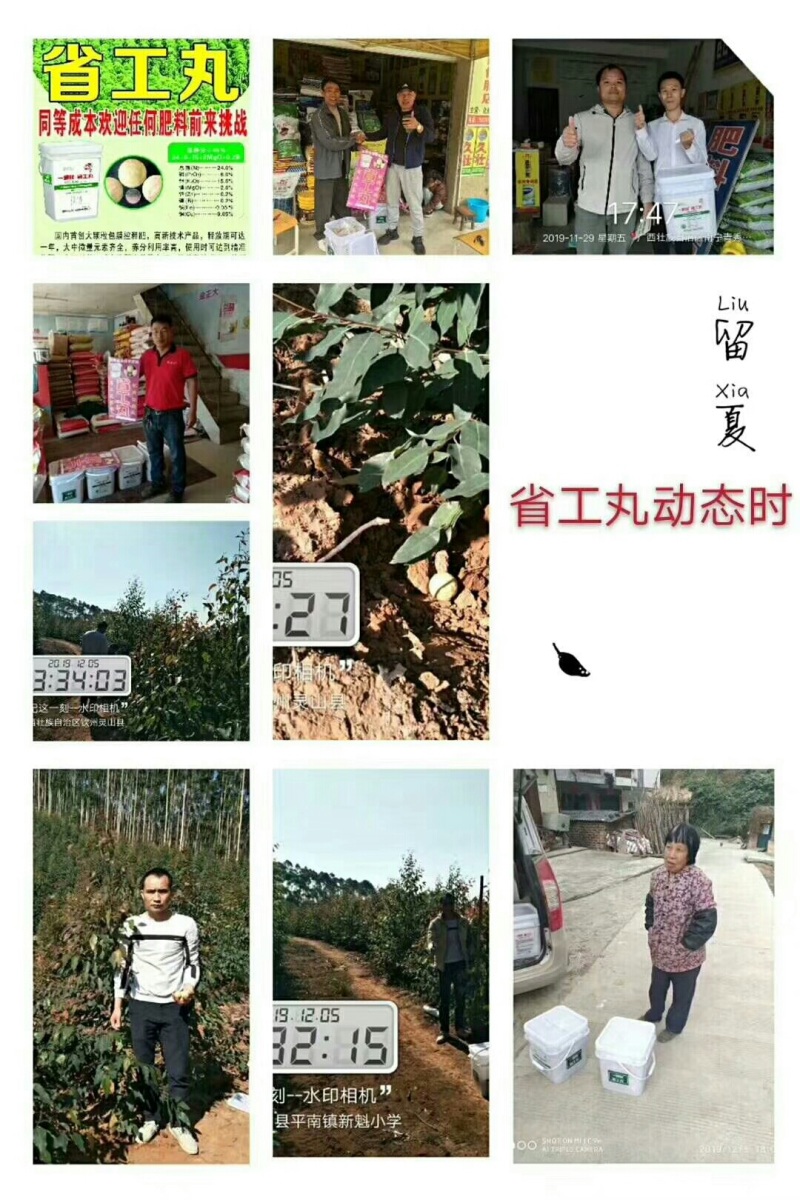 省工丸桉树果树柑橘药肥长效复合肥通用型缓释肥