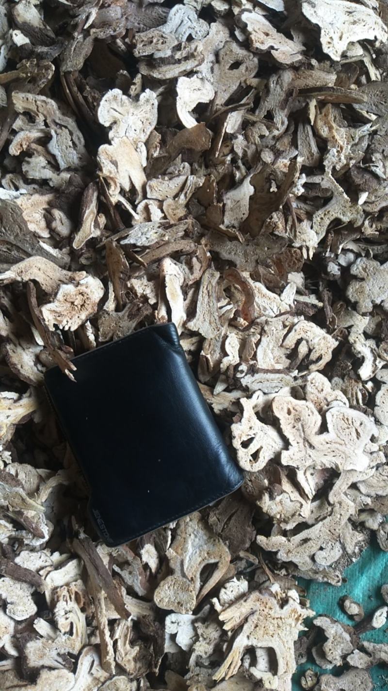 白术，长年收售白术个，片