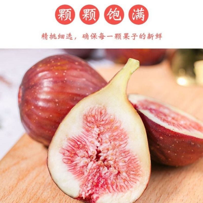 无花果树苗地栽盆栽南北方种植波姬红特大四季无花果当年结果