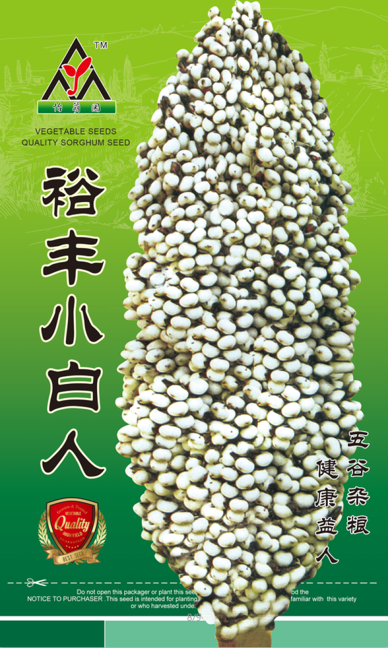 矮杆白粱种子，高产抗病高粱种子